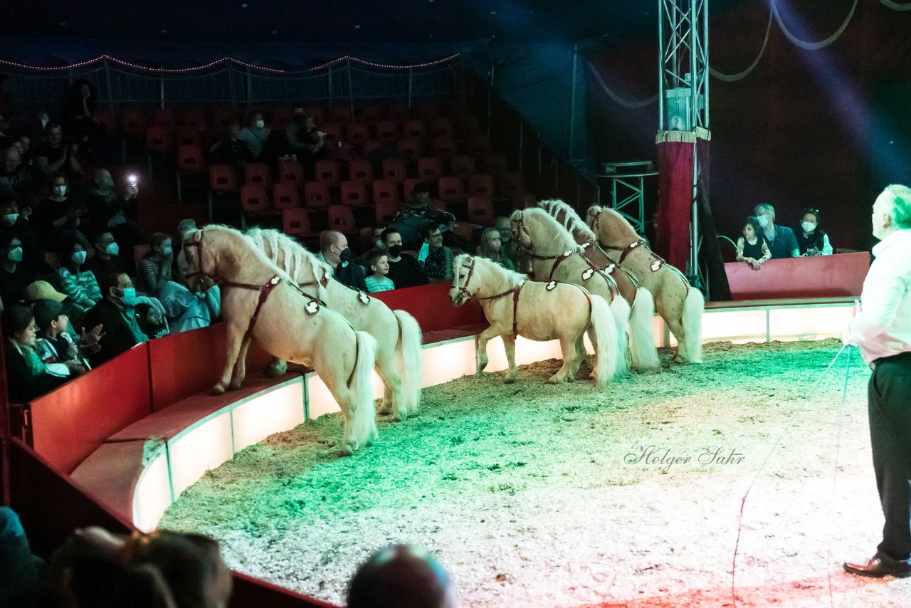 Bild 375 - Zirkus Europa